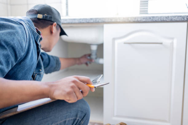 Best Clogged Drain Plumber  in Woodbine, GA